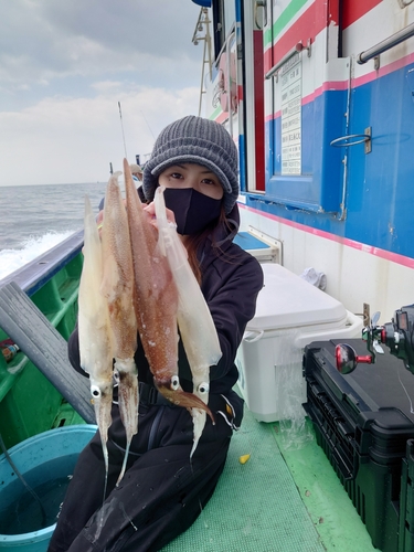 ヤリイカの釣果