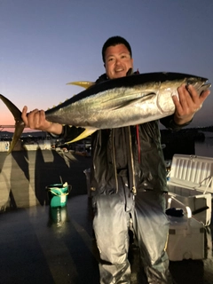 キハダマグロの釣果