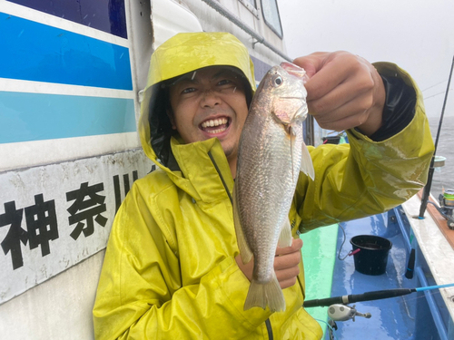 イシモチの釣果