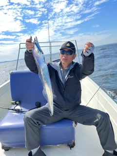 タチウオの釣果
