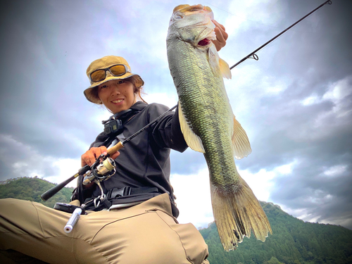 ブラックバスの釣果