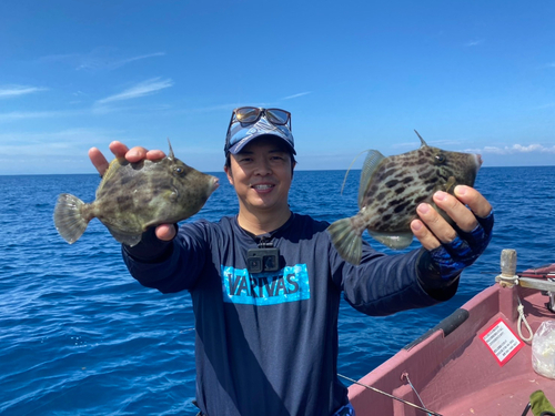 カワハギの釣果