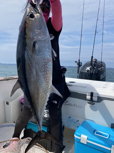 コシナガマグロの釣果