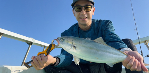 イナダの釣果