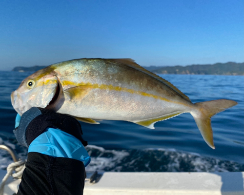 ネリゴの釣果