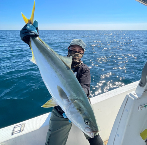 ハマチの釣果