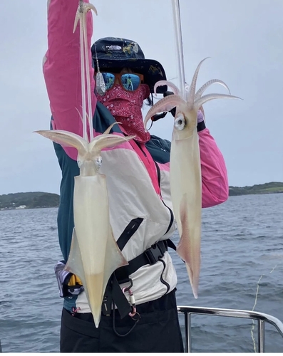 ケンサキイカの釣果