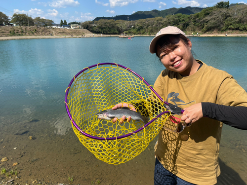 レインボートラウトの釣果