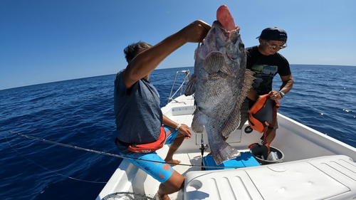 ツチホゼリの釣果