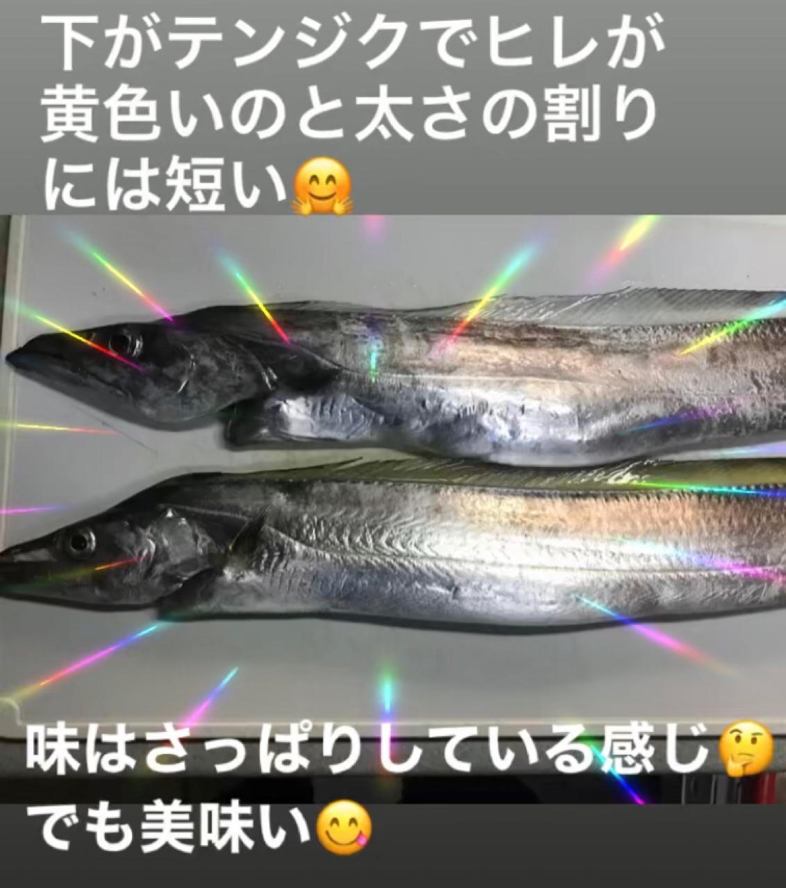 タチウオ