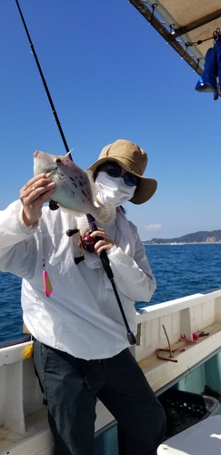 カワハギの釣果