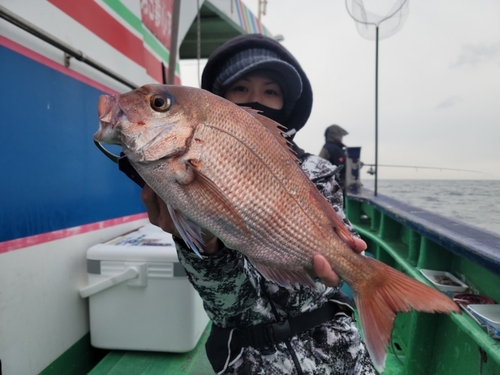 マダイの釣果