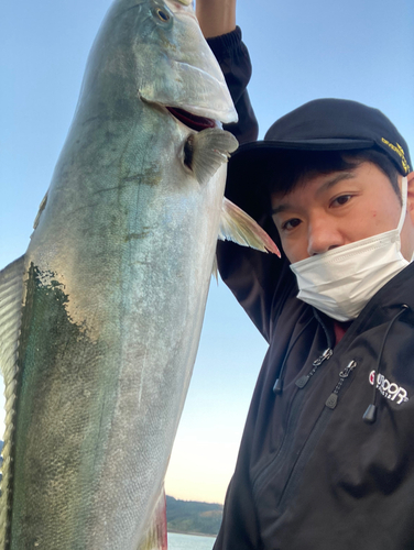 メジロの釣果