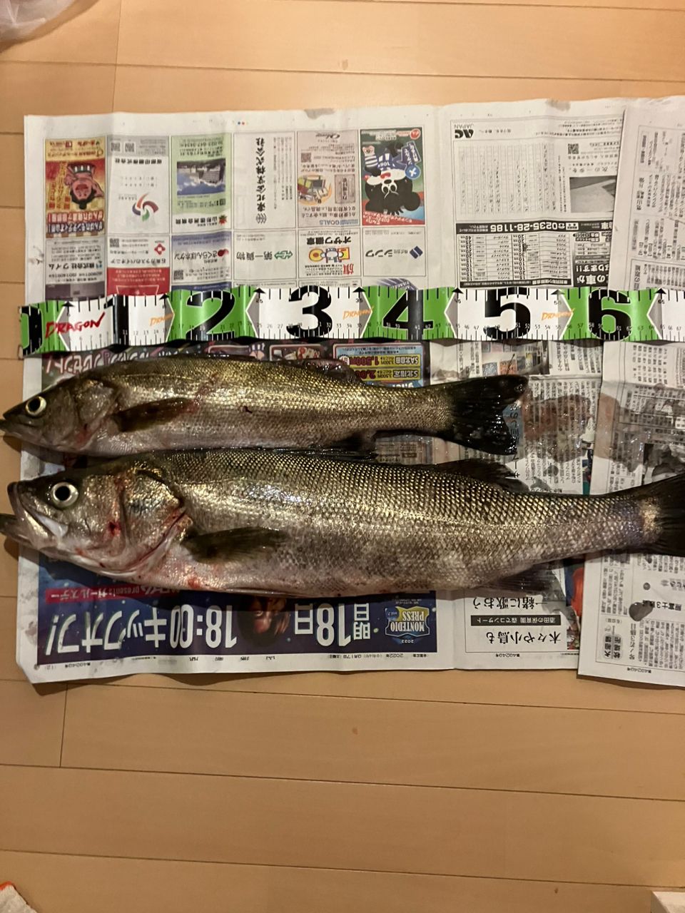 スズキ