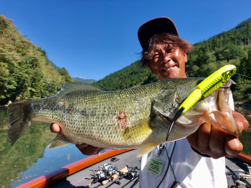 ブラックバスの釣果