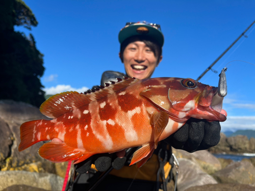 アカハタの釣果