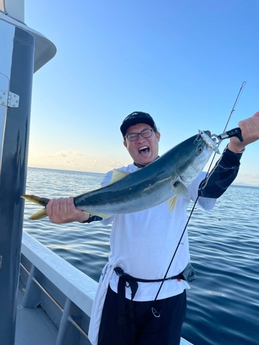 ブリの釣果