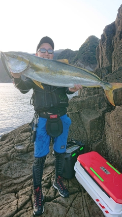 ヒラマサの釣果