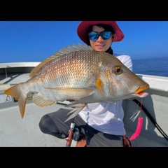 ハマフエフキの釣果