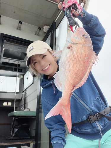 マダイの釣果