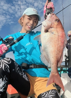 マダイの釣果