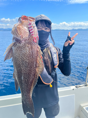 オオモンハタの釣果