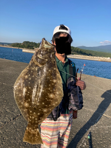 ヒラメの釣果