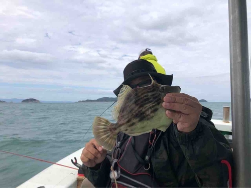 カワハギの釣果