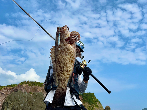 オオモンハタの釣果