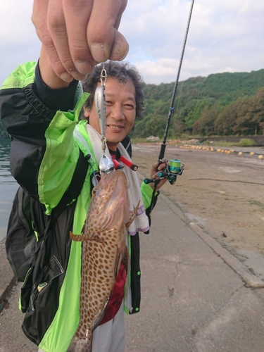 オオモンハタの釣果