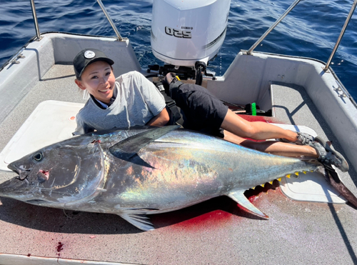 クロマグロの釣果