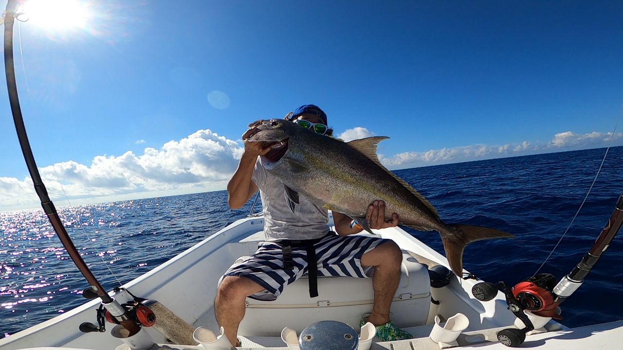 ヒレナガカンパチ