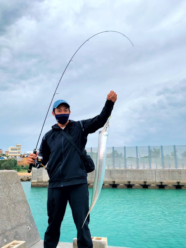 タチウオの釣果