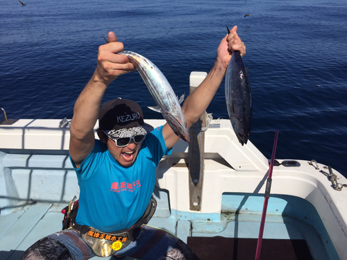 カツオの釣果