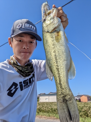 ブラックバスの釣果