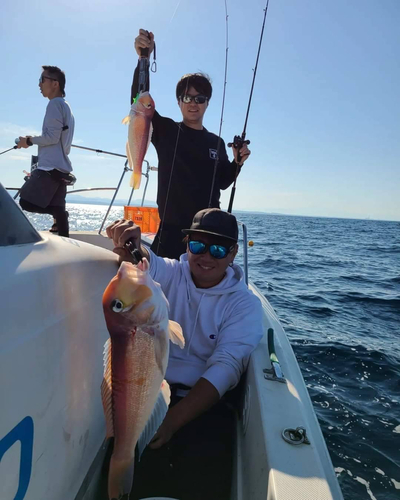 アマダイの釣果