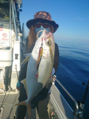 ネリゴの釣果