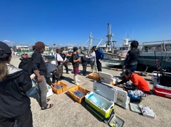 タチウオの釣果