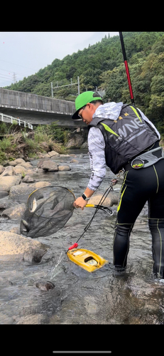 アユの釣果