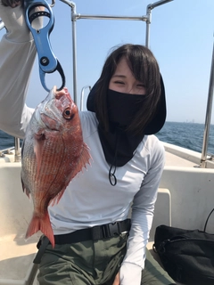 タイの釣果