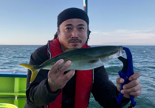 イナダの釣果