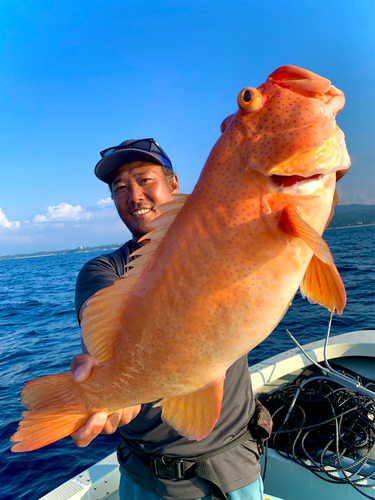 アカジンミーバイの釣果