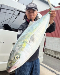 ブリの釣果