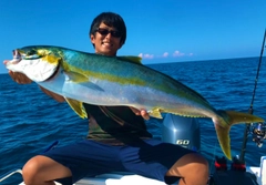 ヒラマサの釣果