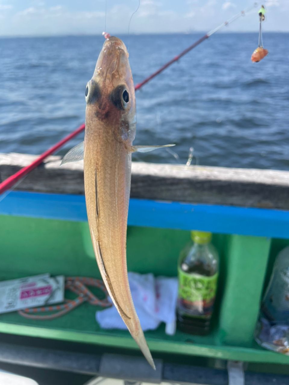 鱸カスミさんの釣果 2枚目の画像