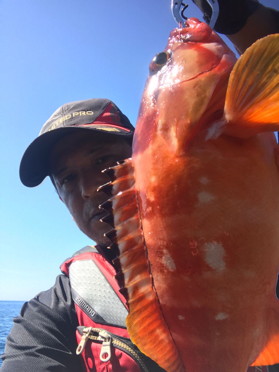 いそべっちさんの釣果 1枚目の画像