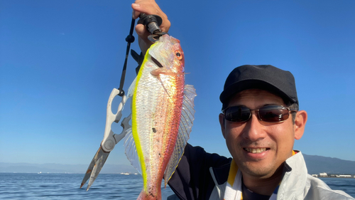 イトヨリダイの釣果