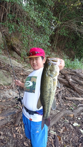 ブラックバスの釣果