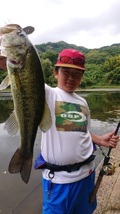 ブラックバスの釣果