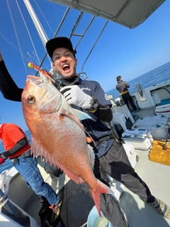 マダイの釣果